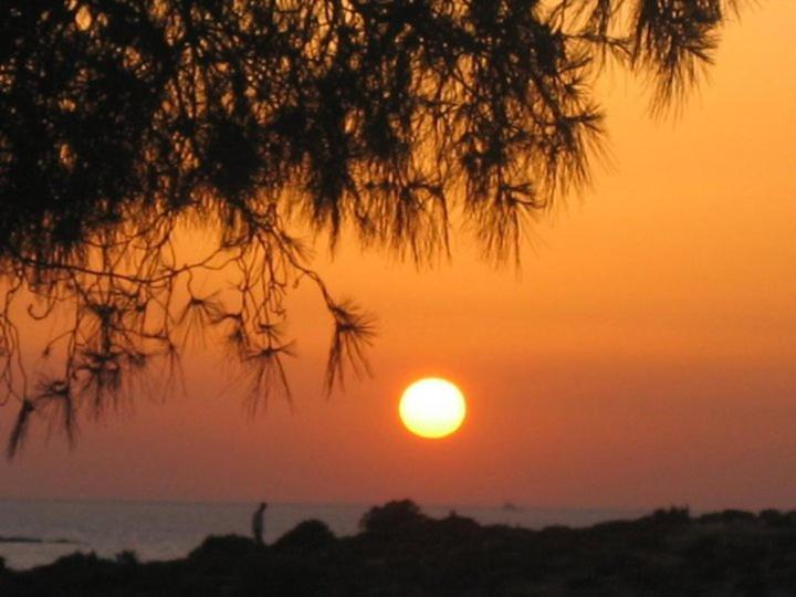 Teras Motel Foça Luaran gambar